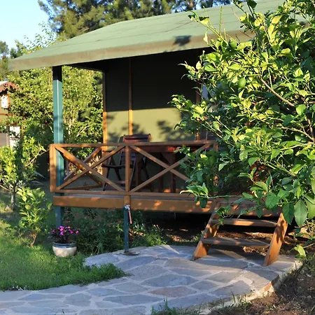 Hobbit Evi Hotel